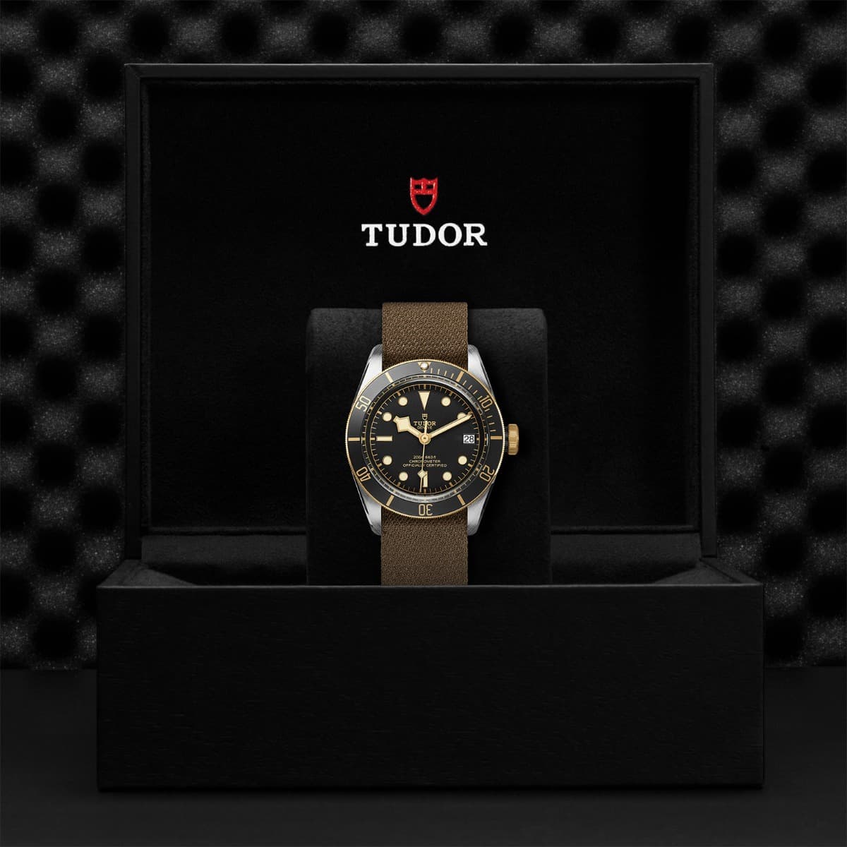 TUDOR Black Bay S&G 4