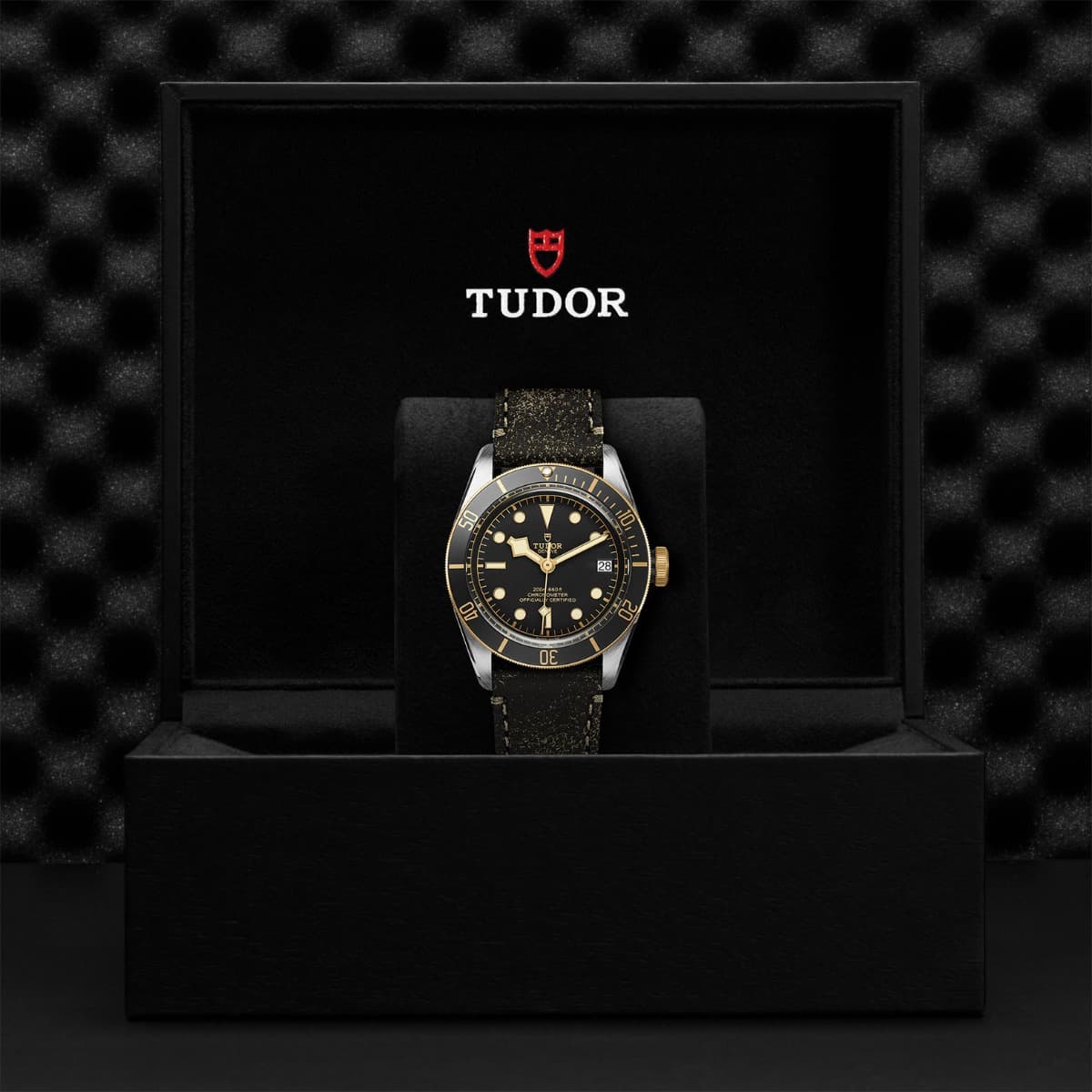 TUDOR Black Bay S&G 2