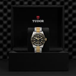 TUDOR Black Bay S&G