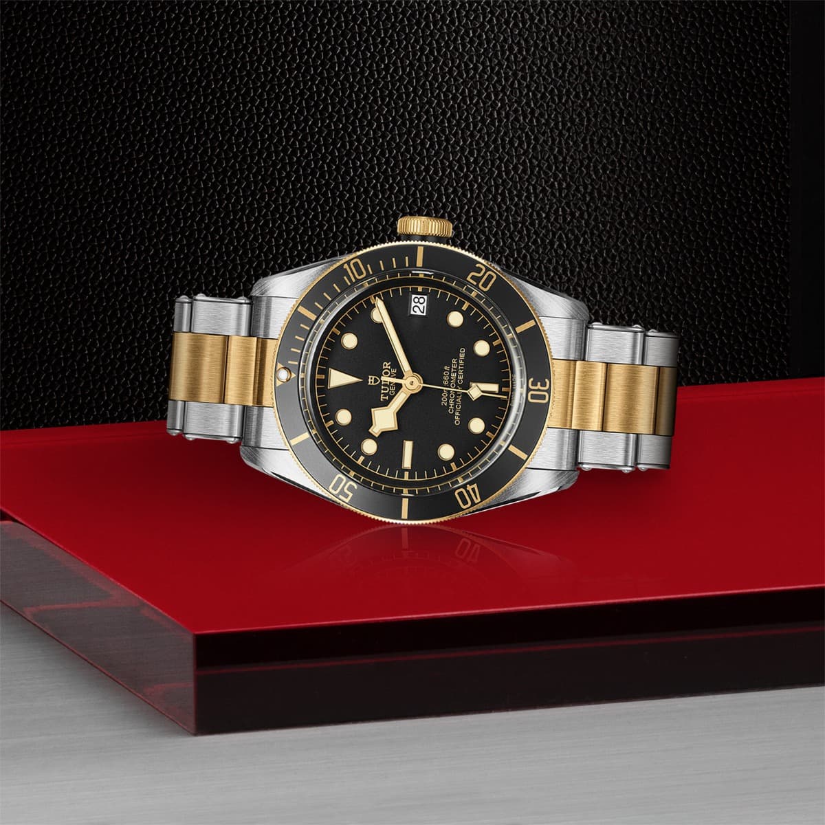 TUDOR Black Bay S&G 3