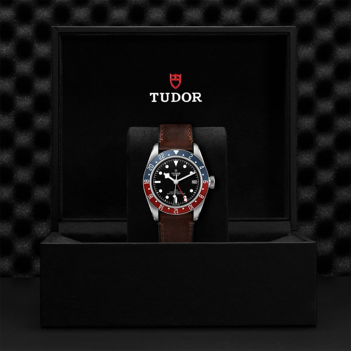 TUDOR Black Bay GMT