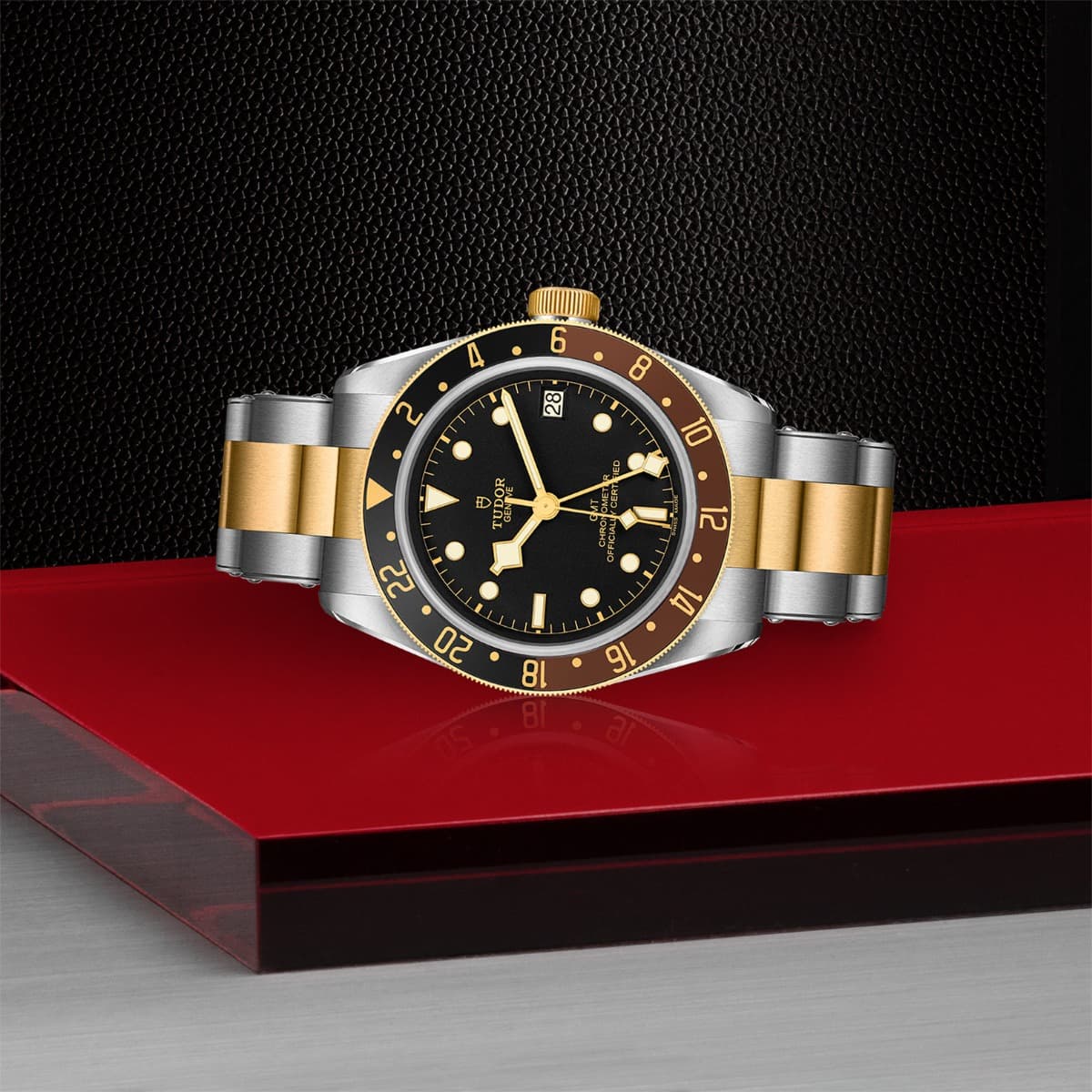 TUDOR Black Bay GMT S&G 4