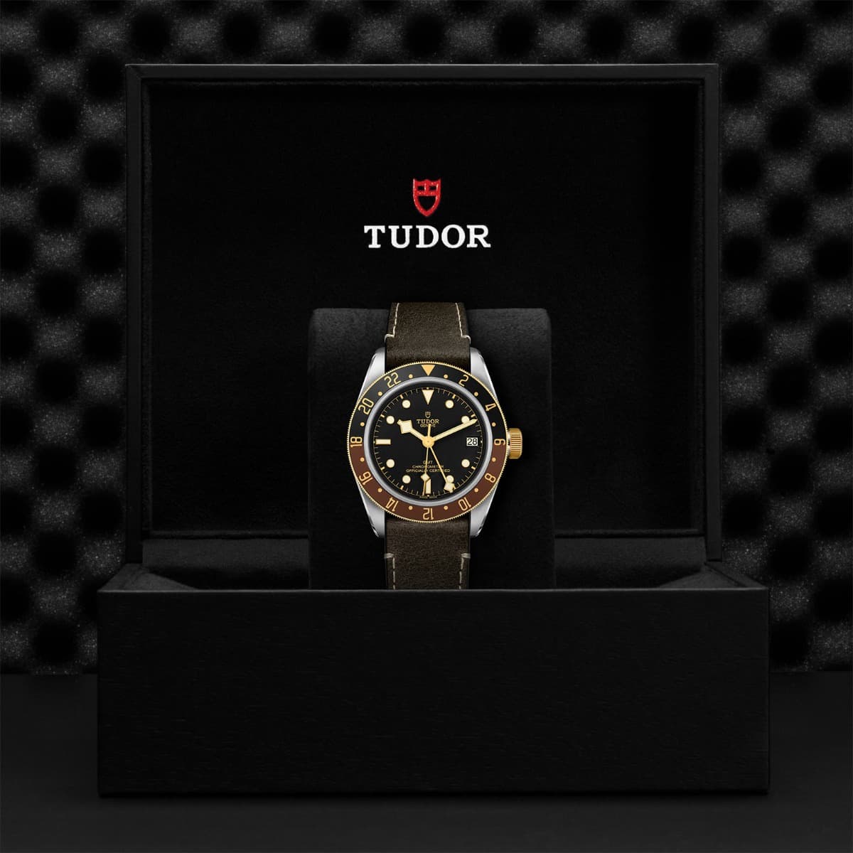 TUDOR Black Bay GMT S&G 4