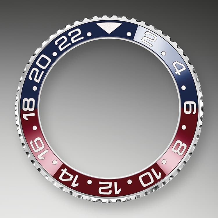 24-Hour Rotatable Bezel
