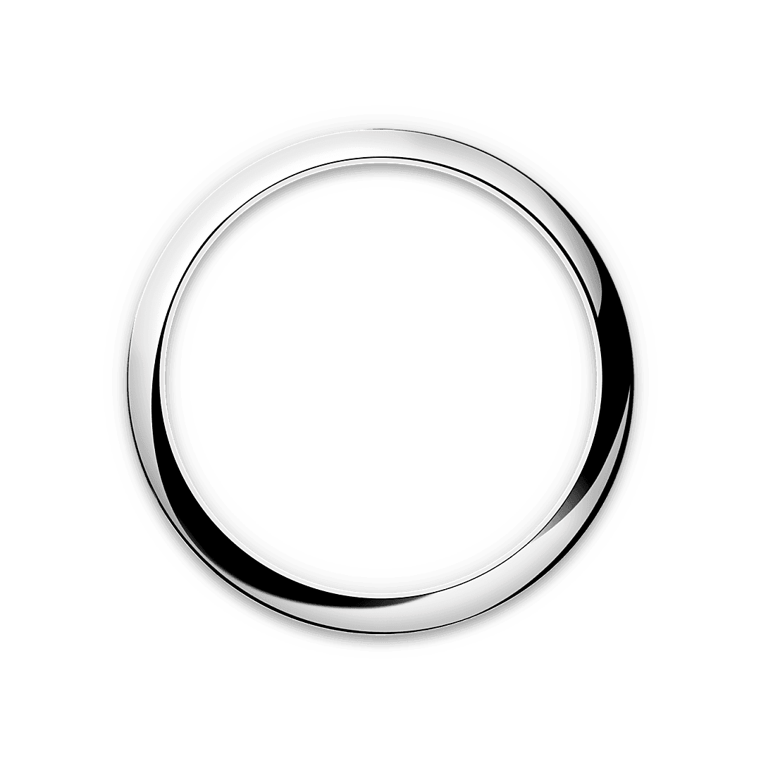 The Oyster bracelet